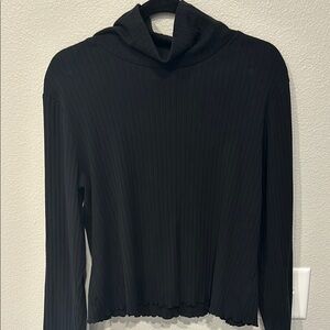 Black Ribbed Long Sleeve turtle neck Top